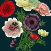 Madame Treacle Greeting Cards-Anemones Greetings Card