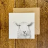 Katherine Sheard Designs Greeting Cards-Baaley Greetings Card