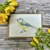 Jen Winnett Greeting Cards-Betty the Bluetit Blank Eco-Card