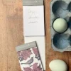 Thornback & Peel Stationery-Blackbird & Bramble Mini Notepad