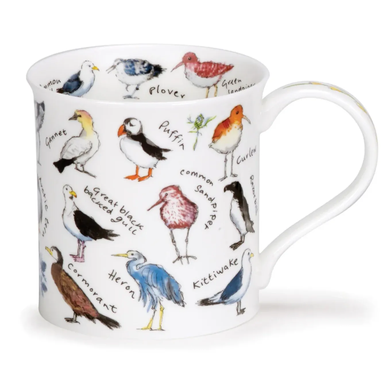 Dunoon Animals|Animals-Bute Birdlife Coastal Birds