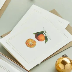 Catherine Lewis Greeting Cards-Clementine - 'Botanical Archive: Festive Edition' - card