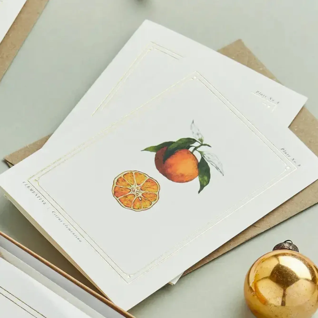Catherine Lewis Greeting Cards-Clementine - 'Botanical Archive: Festive Edition' - card