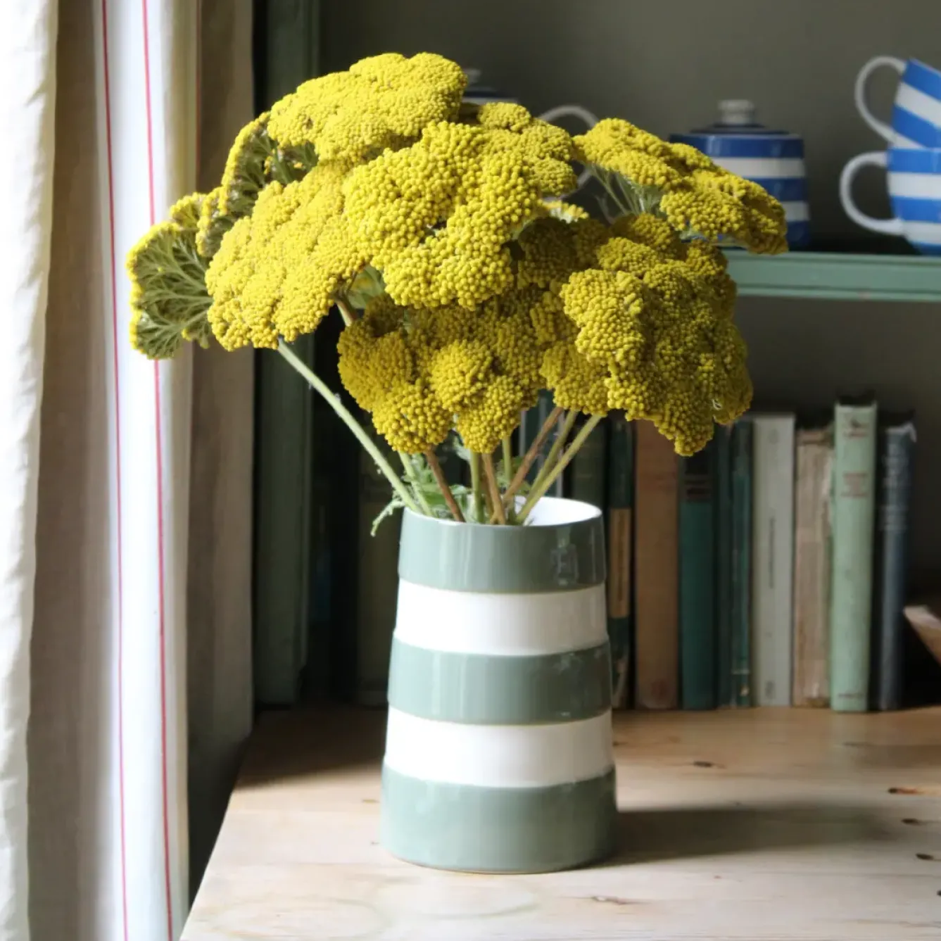 Cornishware Kitchenware-Lighthouse Medium Willow Green Vase