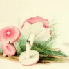 Madame Treacle Greeting Cards-Four Mushrooms- Little Vintage Greeting Card