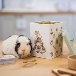 Wrendale Designs Children|Children-Guinea Pig/Rabbit Treat Tin