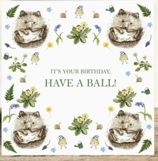 West Country Designs Greeting Cards-'Have A Ball' Hedgehogs Birthday Card