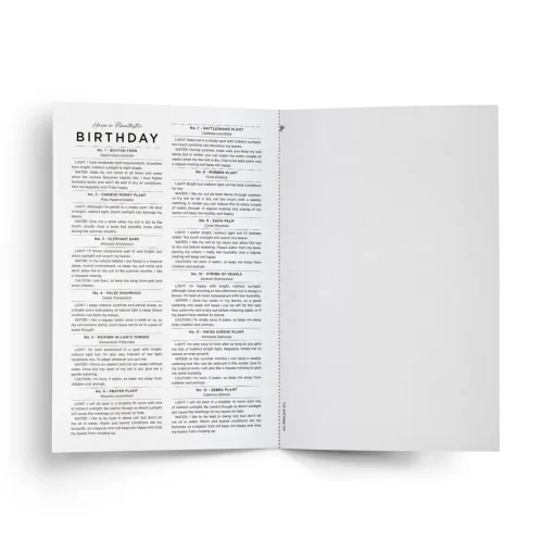 Everlong Print Co. Greeting Cards-Have a Plantastic Birthday Card