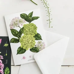 Catherine Lewis Greeting Cards-Hydrangea - card