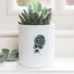 Toasted Crumpet Flowers & Garden-Hydrangea Bone China Pot