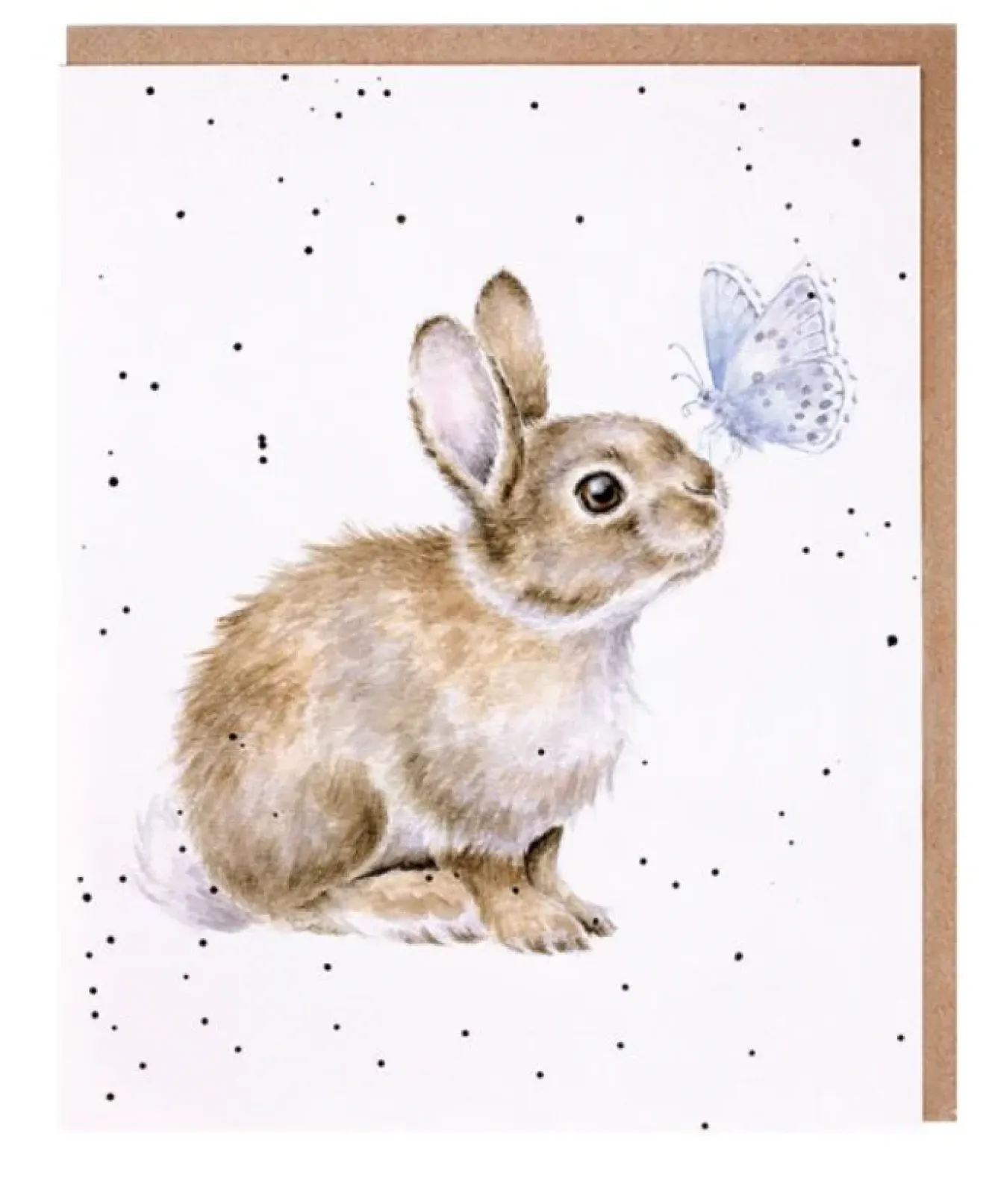 Wrendale Designs Greeting Cards-'I Spy a Butterfly' Bunny Birthday Greetings Card