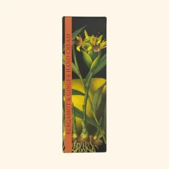 English Soap Company Soaps & Lotions-Kew Gardens Bergmot &  Ginger Hand Cream