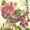 Madame Treacle Greeting Cards-Lily Glitter Birthday Card