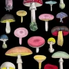 Madame Treacle Greeting Cards-Many Mushrooms Greetings Card