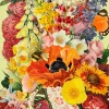 Madame Treacle Greeting Cards-Next to the Potting Shed Greetings Card