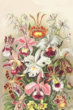 Kind Bag London Bags-Orchidae Medium Reusable Bag