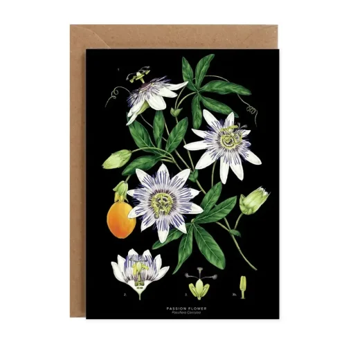 Catherine Lewis Greeting Cards-Passion Flower - Black - Greetings Card
