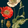 Madame Treacle Greeting Cards-Poppy Greeting Card