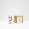 Helen Beard Flowers & Garden-Purple Sweet Pea Beaker