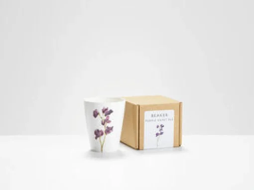 Helen Beard Flowers & Garden-Purple Sweet Pea Beaker
