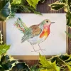 Jen Winnett Greeting Cards-Robbie the Robin Blank Greetings Eco Card