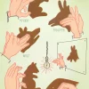 Madame Treacle Greeting Cards-Shadow Animals Greetings Card