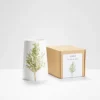 Helen Beard Vases-Silver Birch Vase