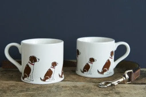Sweet William Pets|Pets-Springer Spaniel (Liver & White) Mug Boxed