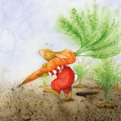 Moongazer Cards Books-Standing In A Rainbow Book