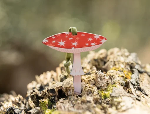 Dapple & Dot Christmas-Starry Mushroom Wooden Decorations