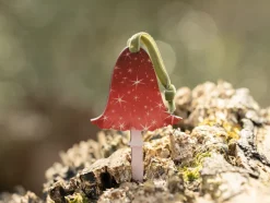 Dapple & Dot Christmas-Starry Mushroom Wooden Decorations