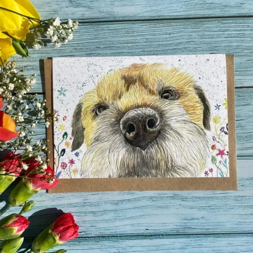 Jen Winnett Greeting Cards-Tilly the Border Terrier Eco-card